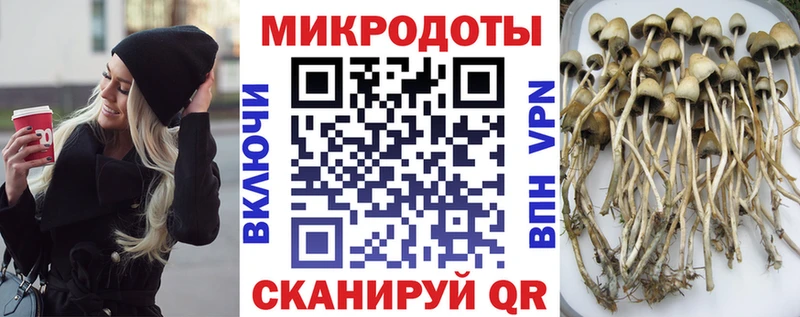 Галлюциногенные грибы мухоморы Можайск