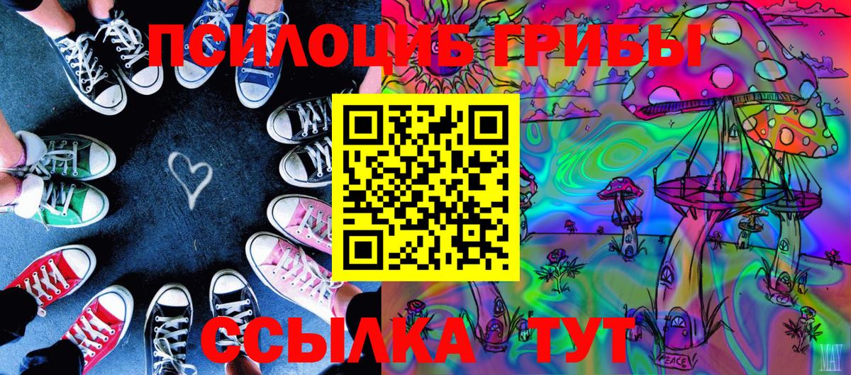 Можайск  Псилоцибиновые грибы мухоморы  Вход с VPN 